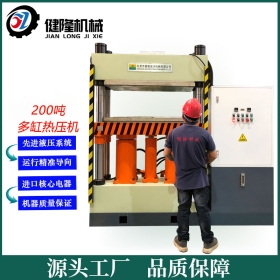 200噸伺服雙缸熱固成型液壓機